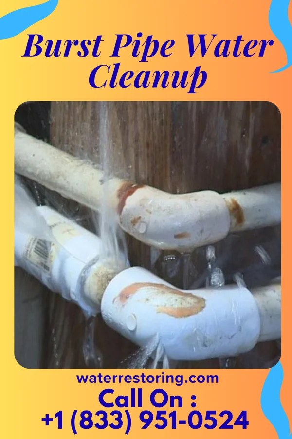 Burst Pipe Water Cleanup in Union Bridge, MD