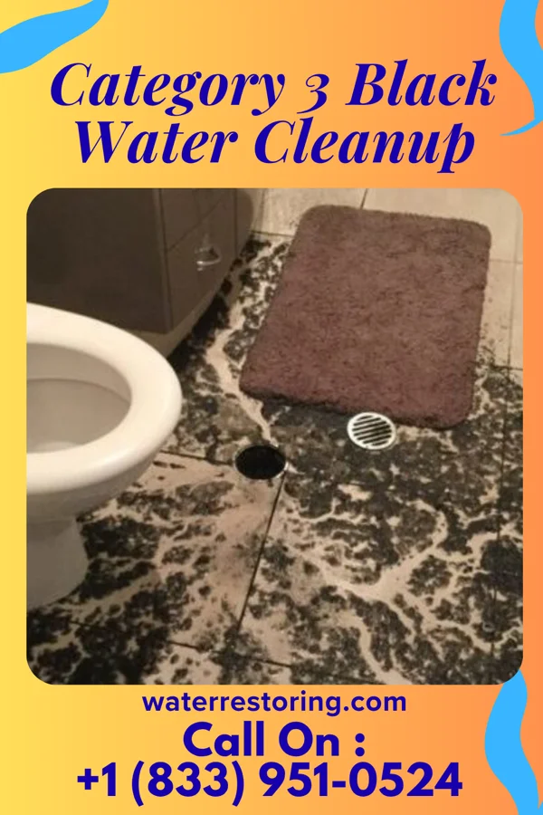Category 3 Black Water Cleanup in Union Bridge, MD