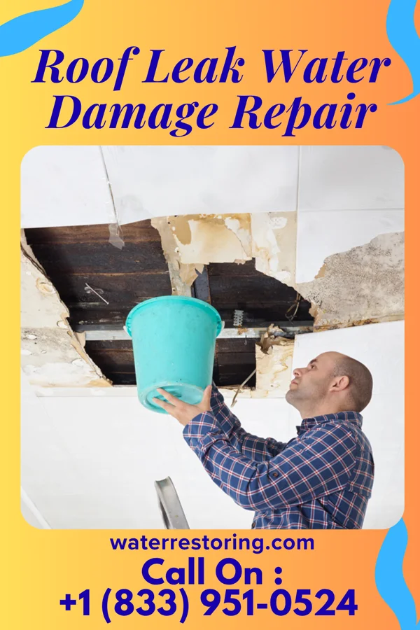 Roof Leak Water Damage Repair in Union Bridge, MD