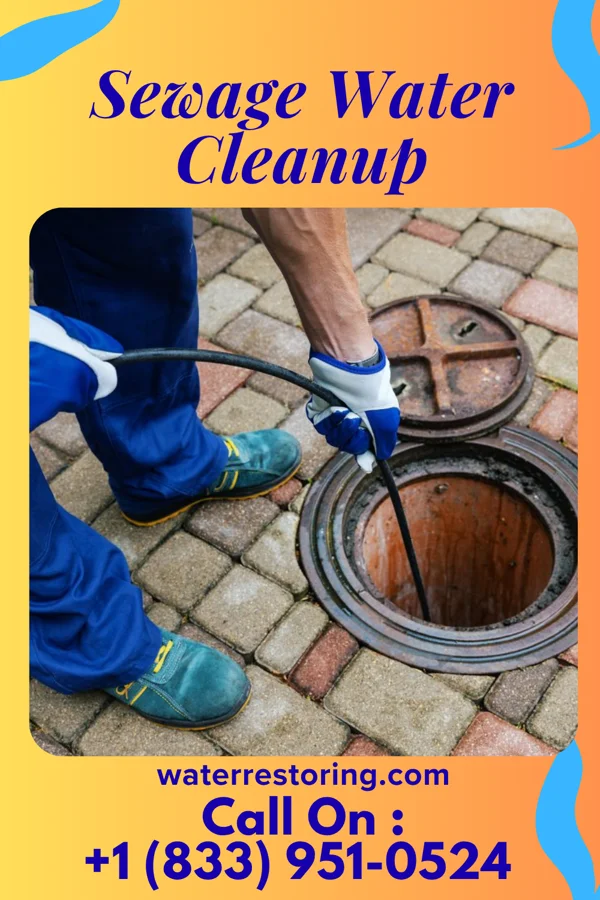 Sewage Water Cleanup in Union Bridge, MD