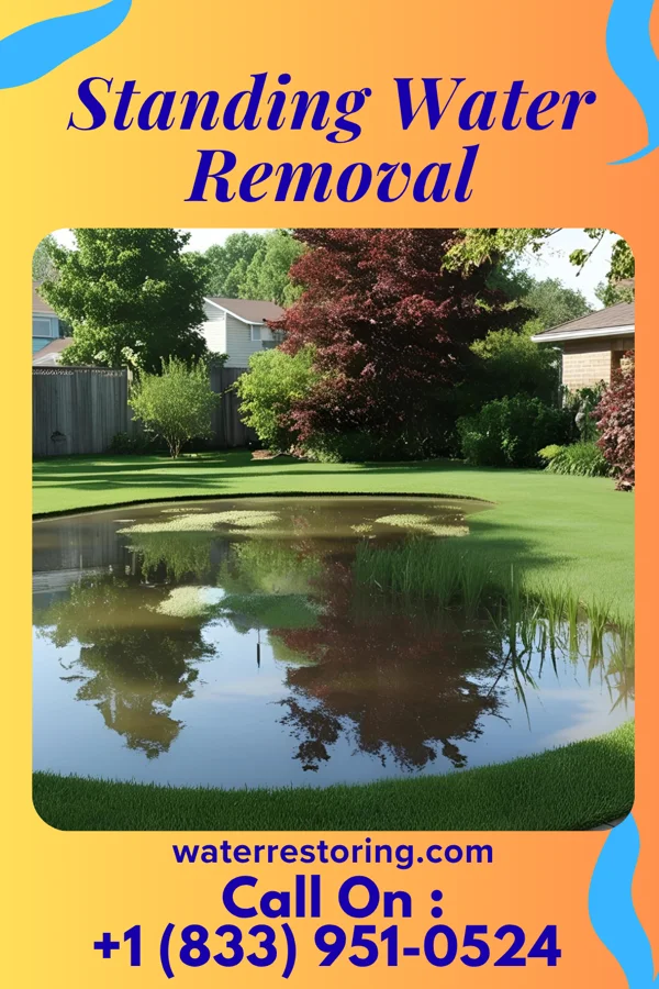 Standing Water Removal in Union Bridge, MD